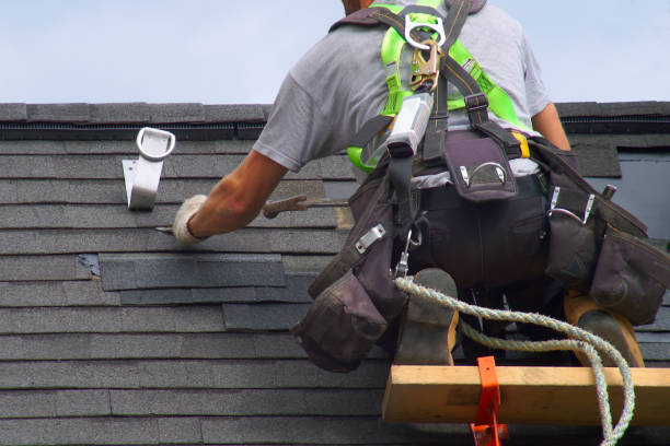 Best Roof Repair Services  in Leo Cedarville, IN