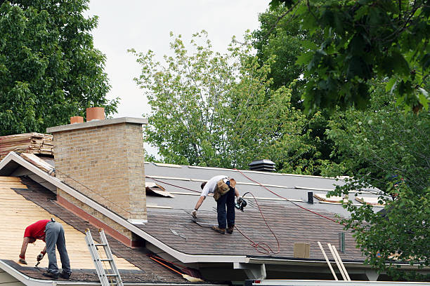 Best Local Roofing Companies  in Leo Cedarville, IN