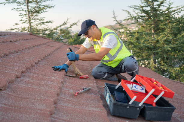 Best Commercial Roofing Services  in Leo Cedarville, IN