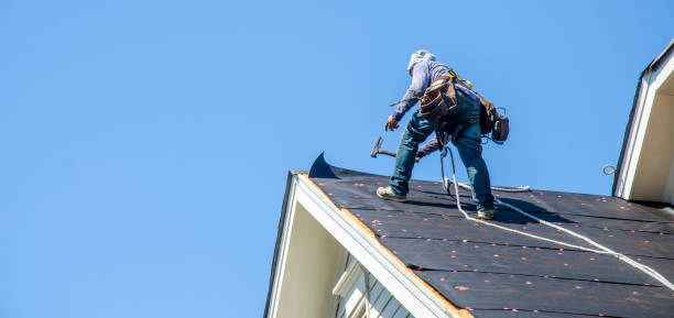 Best Residential Roofing Contractor  in Leo Cedarville, IN